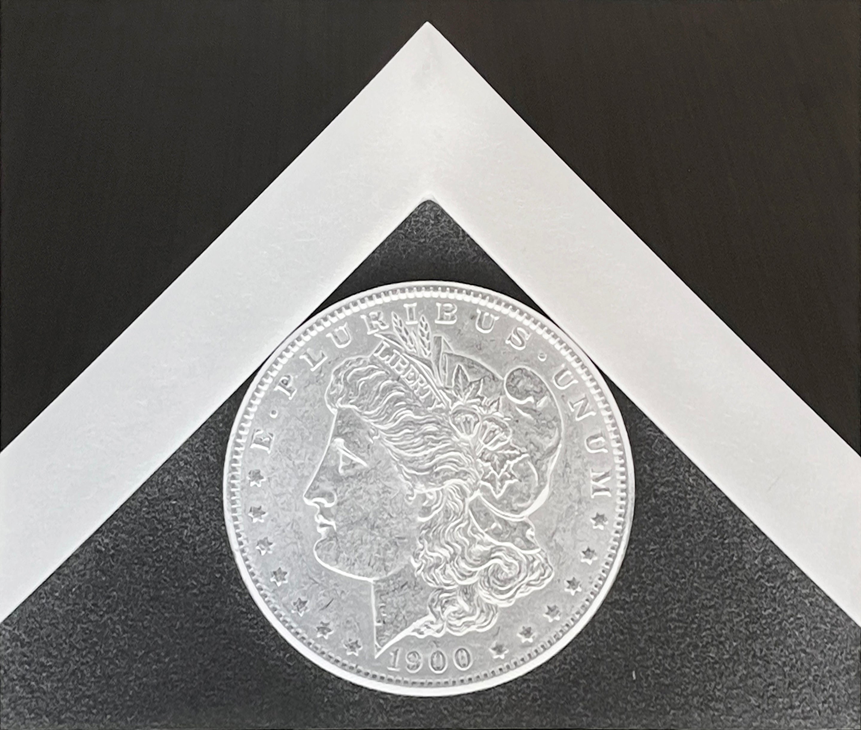 Robert Mapplethorpe, 'Silver Dollar', 1988 | Print Available for Sale | Hamilton-Selway Fine Art