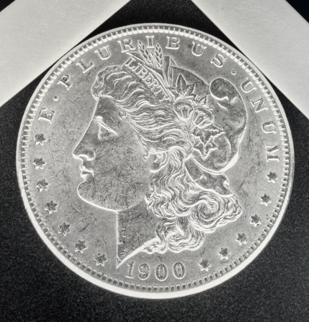 Robert Mapplethorpe, 'Silver Dollar', 1988 | Print Available for Sale | Hamilton-Selway Fine Art | Detail Image