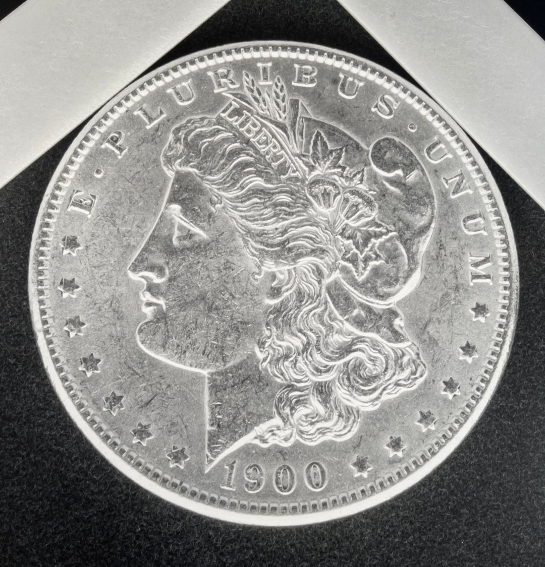 Robert Mapplethorpe, 'Silver Dollar', 1988 | Print Available for Sale | Hamilton-Selway Fine Art | Detail Image