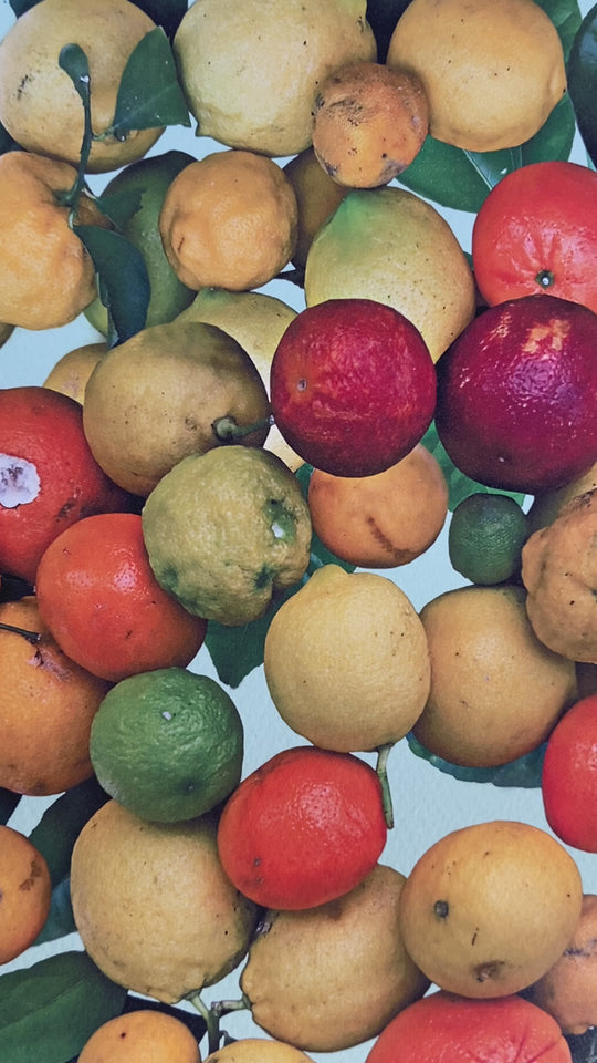 Fallen Fruit, 'EatLACMA, Los Angeles', 2010