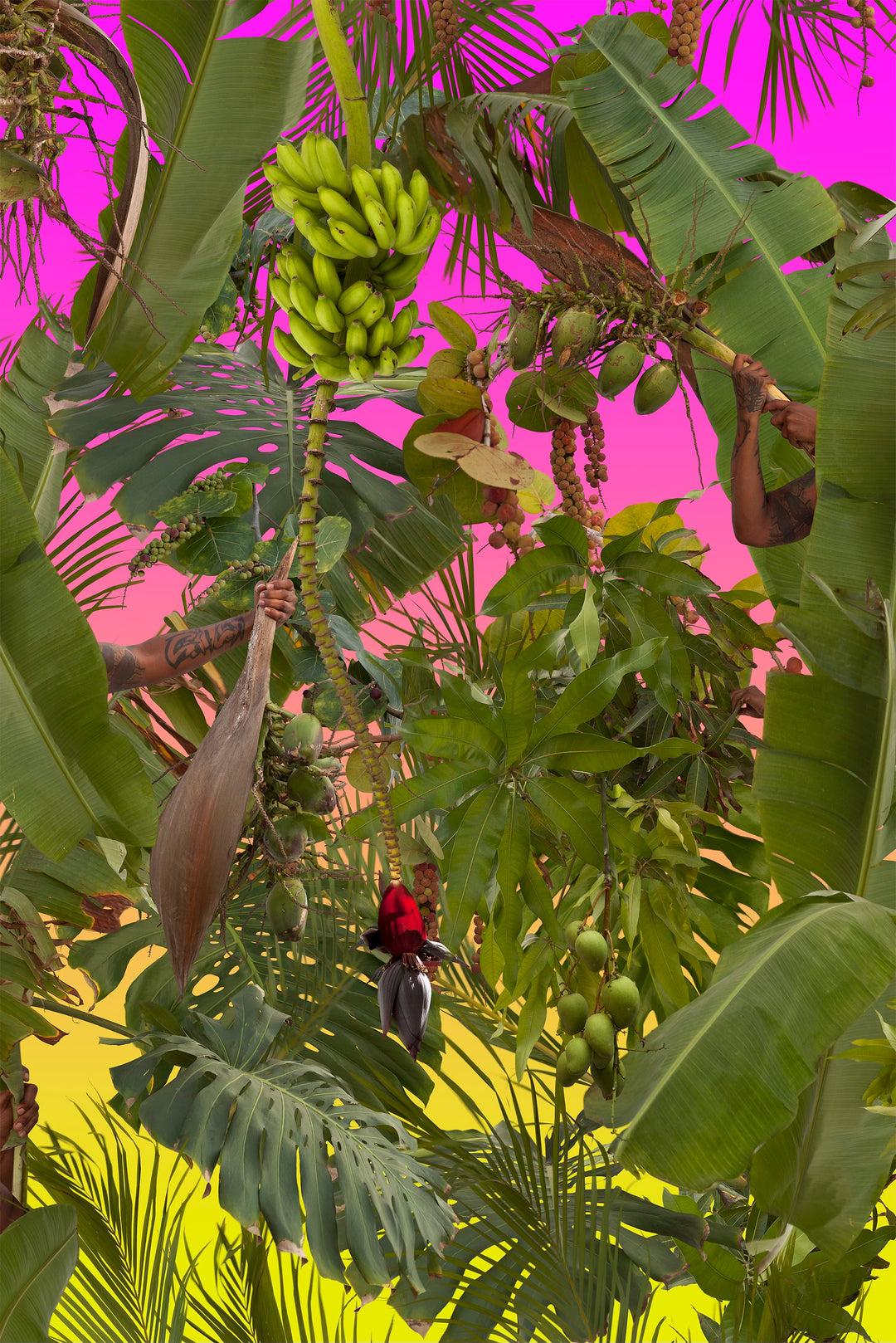 Fallen Fruit, 'All Tomorrow’s Parties, West Palm Beach (pink)', 2017  | Available for Sale