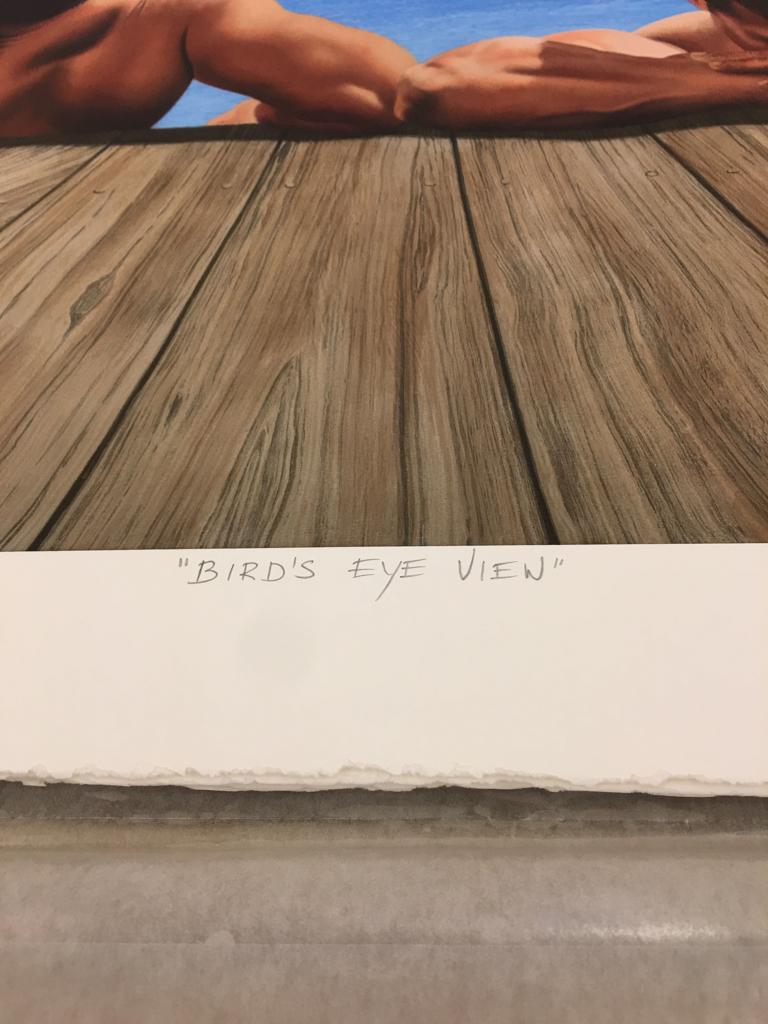 Steve Walker, 'Birds Eye View', 2009 | Available for Sale | Image of Title