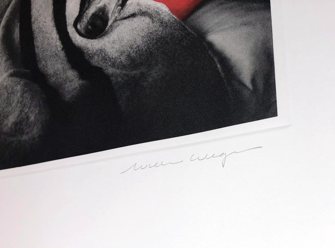 William Wegmen, 'Cinderella Sleeping', 1994 | Available for Sale | Signature