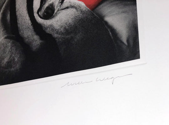 William Wegmen, 'Cinderella Sleeping', 1994 | Available for Sale | Signature
