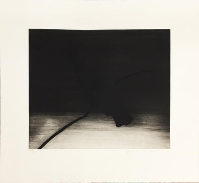 Joe Andoe, "Crow I", 1991 | Available for Sale | Photograph of signed print