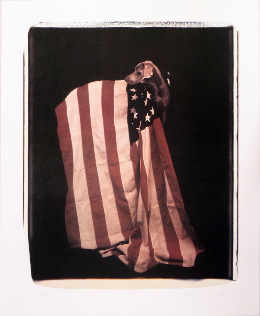 William Wegmen, 'Profiles in Patriotism', 1992 | Available for Sale