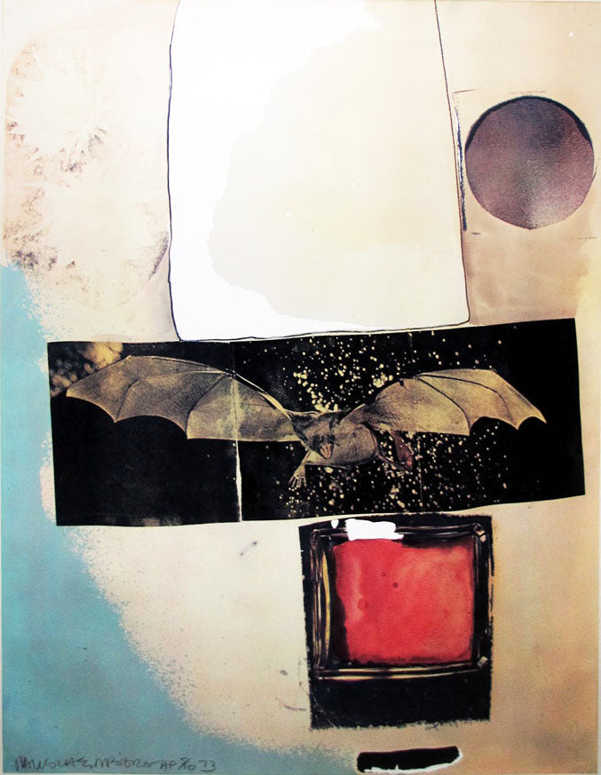 Robert Rauschenberg, 'Rays', 1993 | Available for Sale