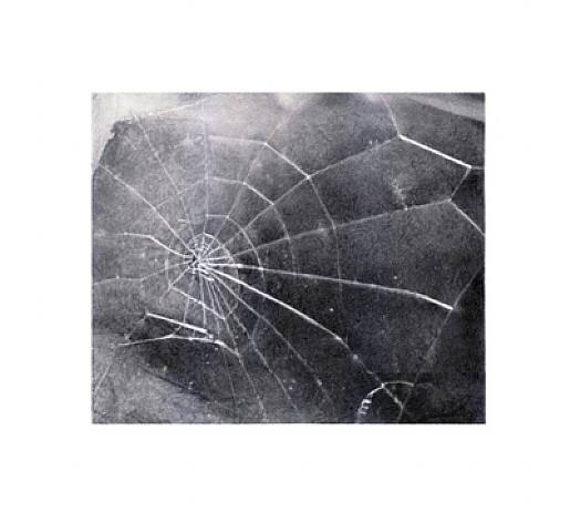 Vija Celmins, 'Spider Web' 2009 | Available for Sale | Image of edition print